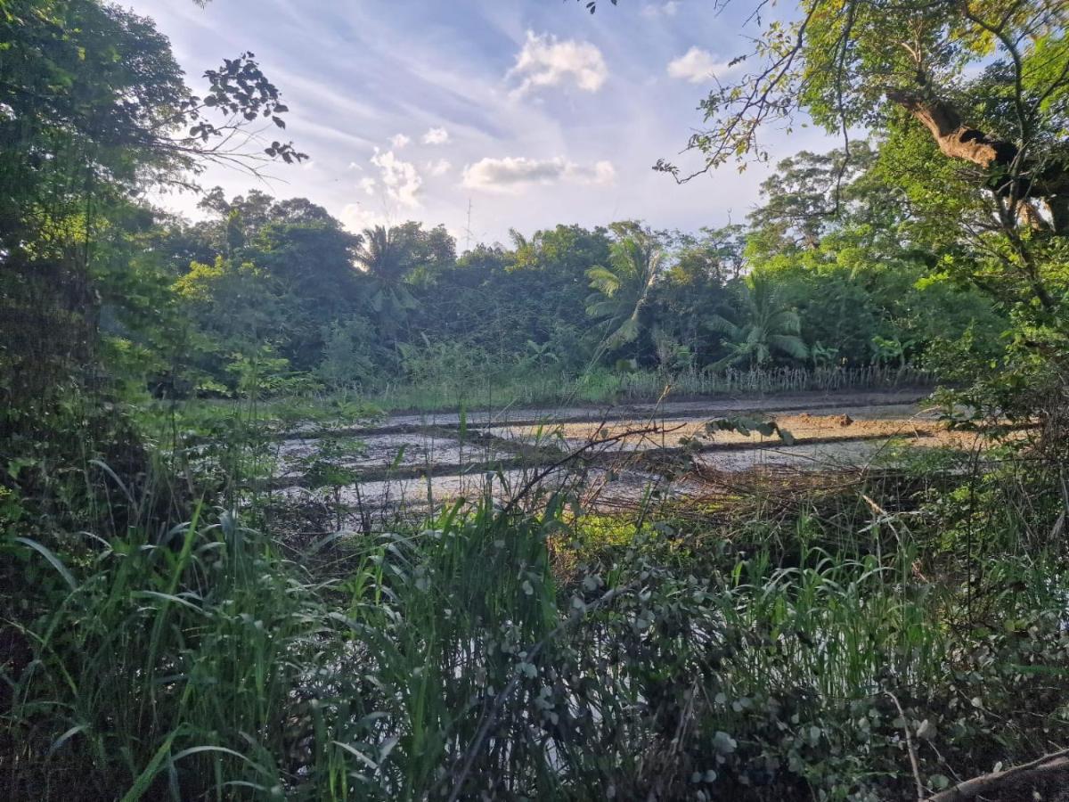 Sigiriya Cottage 외부 사진