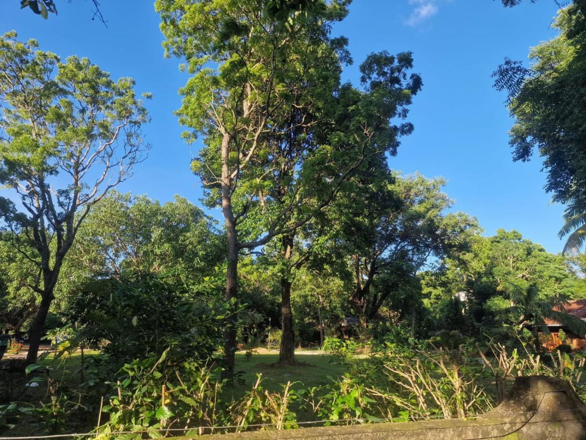 Sigiriya Cottage 외부 사진