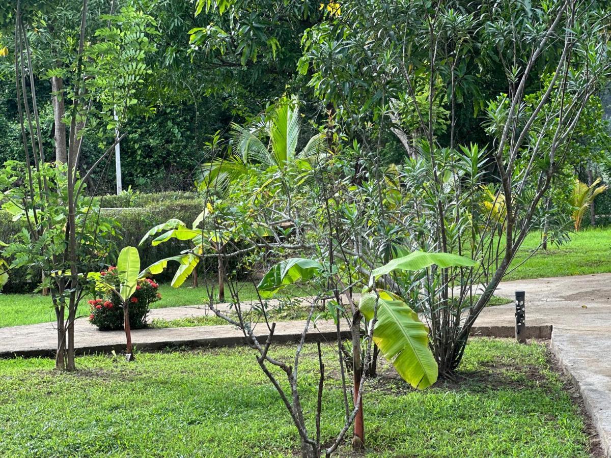 Sigiriya Cottage 외부 사진