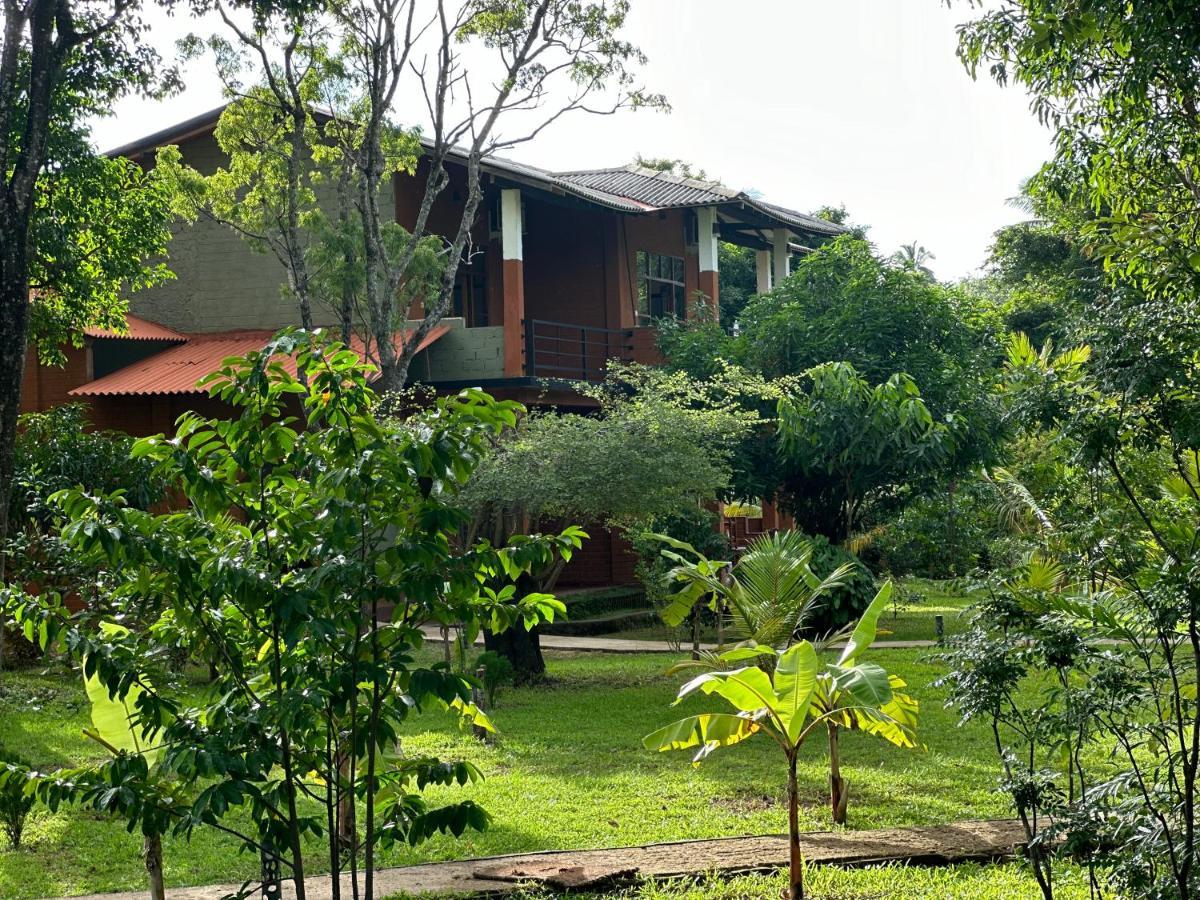 Sigiriya Cottage 외부 사진