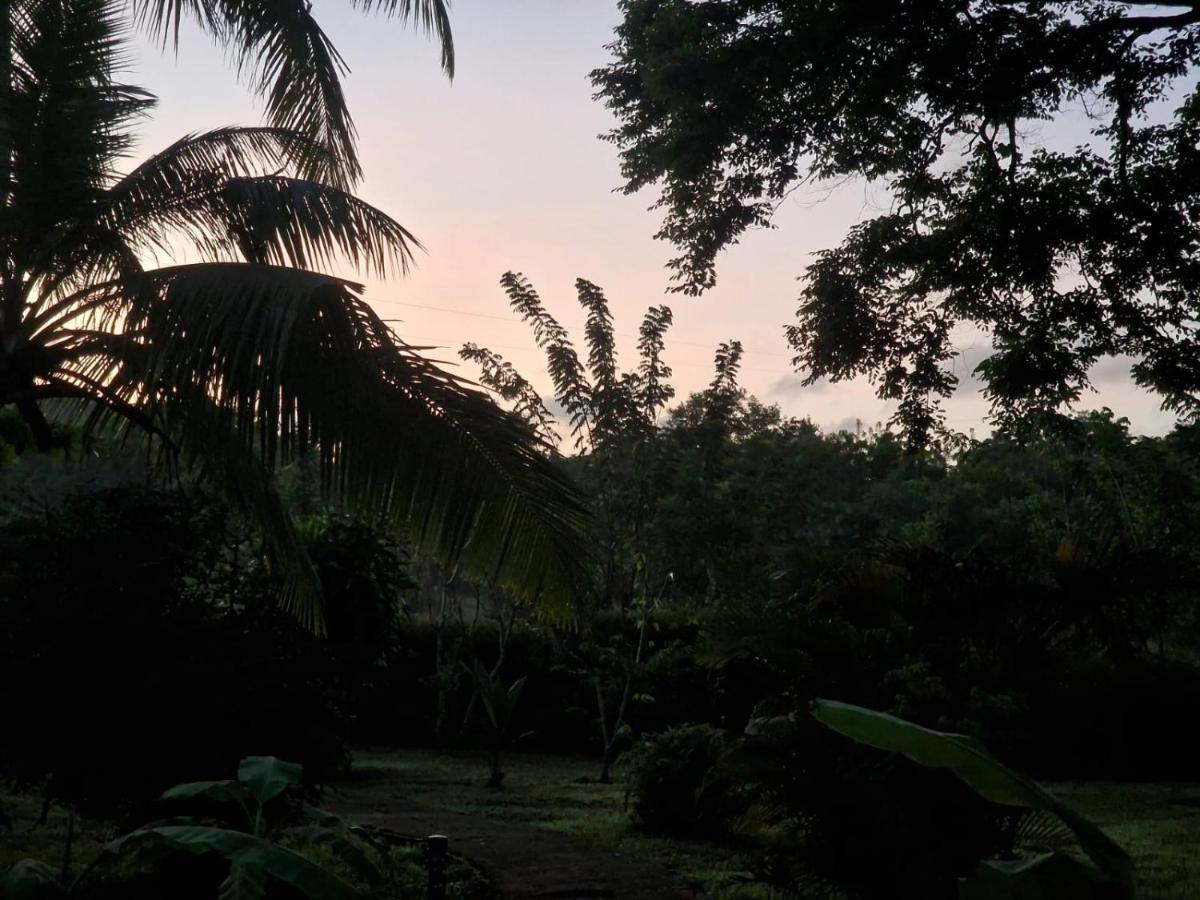 Sigiriya Cottage 외부 사진