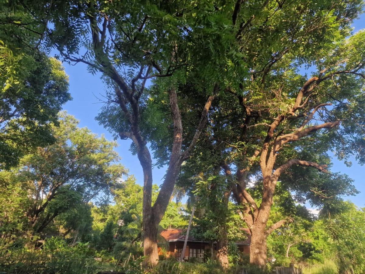 Sigiriya Cottage 외부 사진