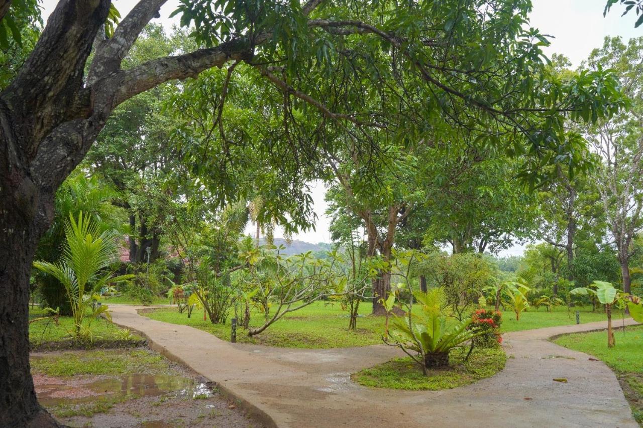 Sigiriya Cottage 외부 사진